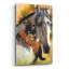 «Lusitano» par Barbara Keith, impression sans cadre-1812518159