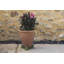 Maris Weather Resistant Planter Feet