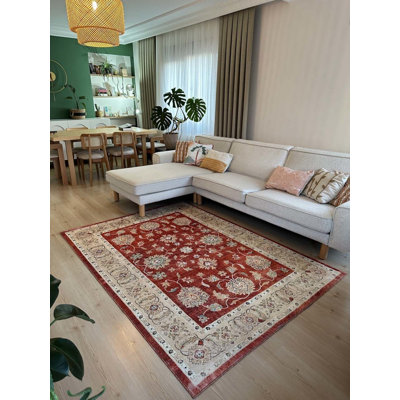 Lanney Performance Cotton Washable Oriental Indoor / Outdoor Rug