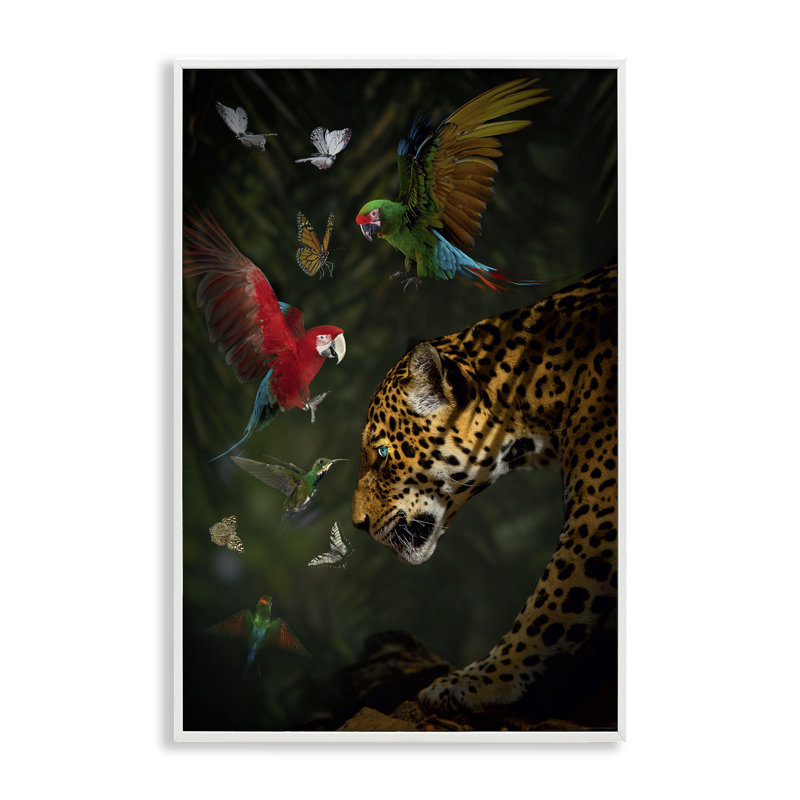 Jungle Brawl Animals, estampe numérique par Reinders, Giclée encadrée blanc bord de mer, H 24 po x l 16 po