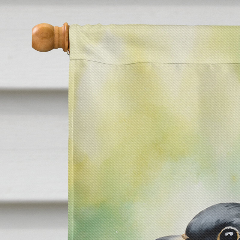 Drapeau pour la maison, Connecticut American Robin