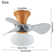 Kosie 21.25'' Ceiling Fan with LED Lights