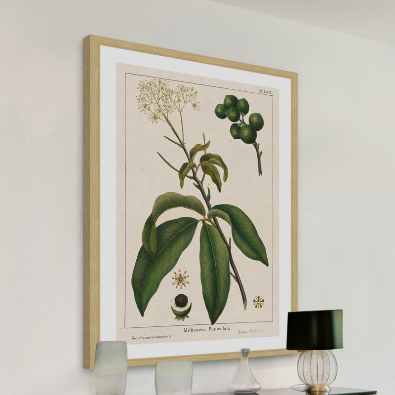 «Honeyberry», reproduction encadrée, H 36 po x l 24 po x P 1,5 po