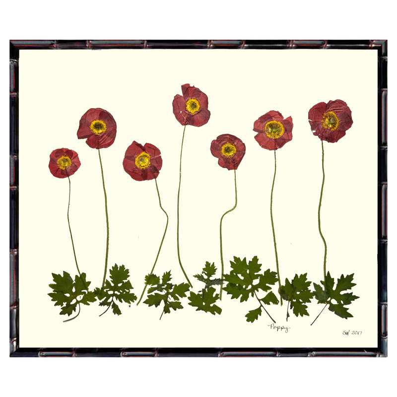 Poppy Garden Print by Sandy Whitaker, 17" H x 21" W, Walnut