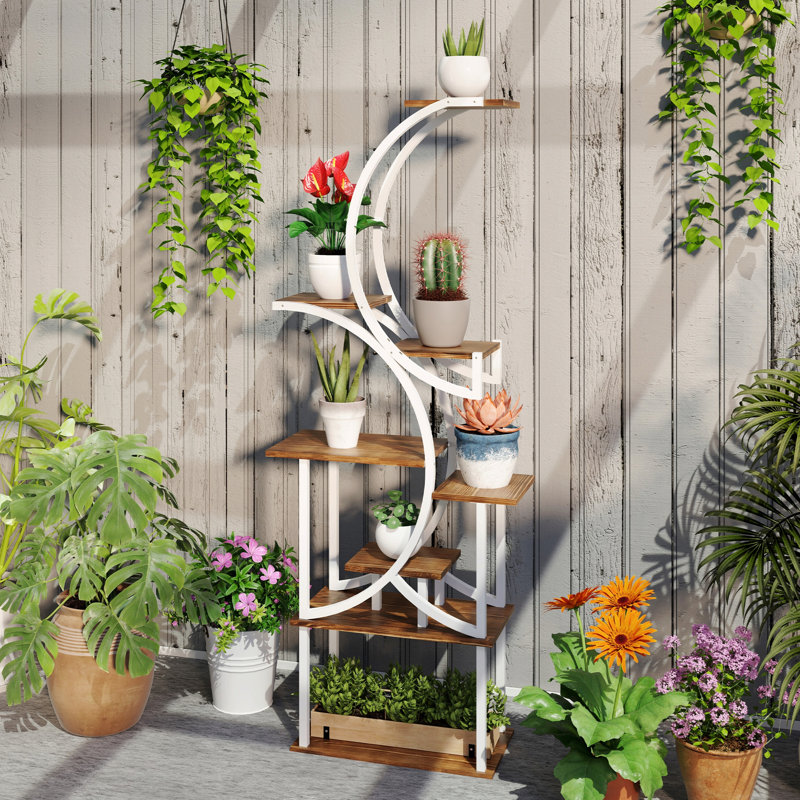 Support à plantes à 8 niveaux pour l'intérieur, tablette de 62 po de hauteur, support en forme de S, finition carbonisée