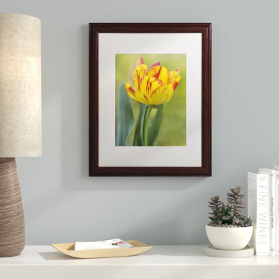 «Rembrandt Tulip», reproduction de photo sur toile encadrée