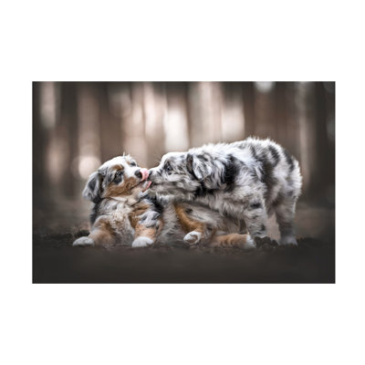 Natalie Grosse Puppy Kisses 2  Canvas Art