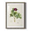 «Pretty Botanicals III», cadre photo-1776683588-1776683592