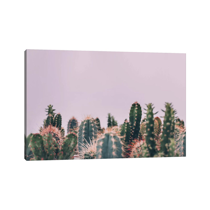 Cactus Garden by Sisi & Seb - Gallery-Wrapped Canvas Giclée on Canvas, Wrapped Canvas, 45.72cm H x 66.04cm W