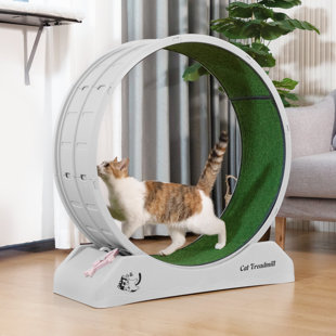 PawHut Cat Running Wheel Cat Tree with Carpet Runway Cat Exercise Wheel with Brake Cat Tower Pet Furniture for Kittens Natural