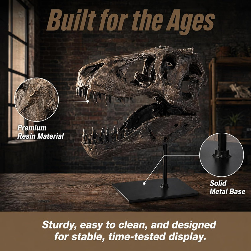 Dinosaur Head Statue Resin Dinosaur Skull Sculpture