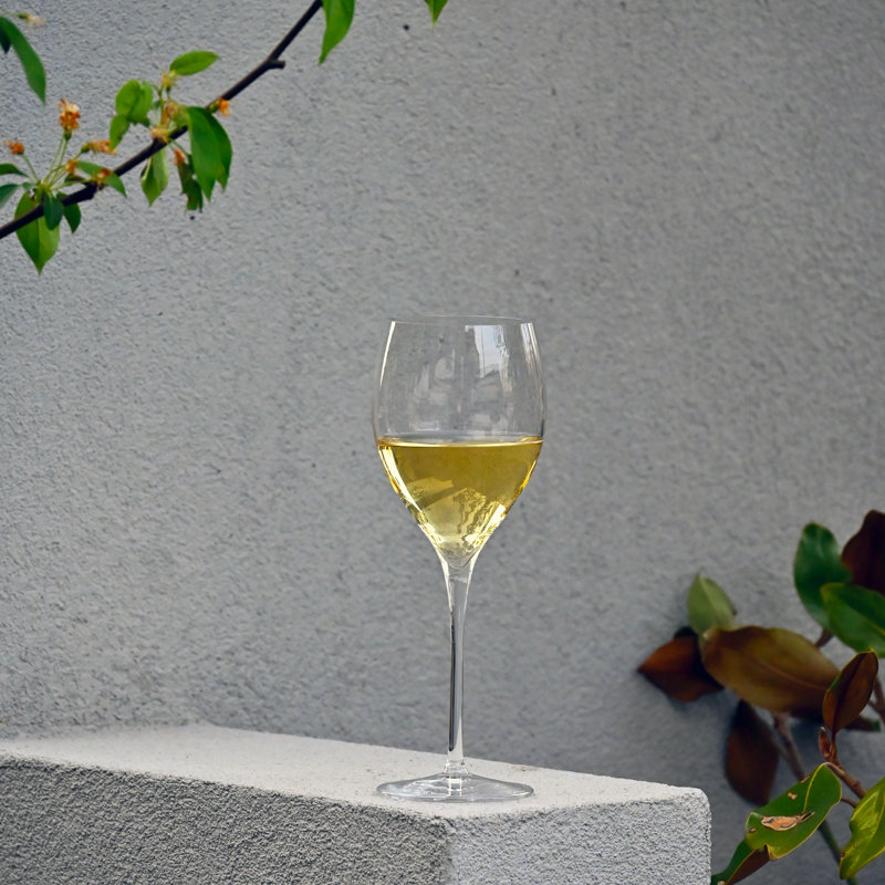 Magnifico Wine Glasses (Set of 4), 11.75 oz