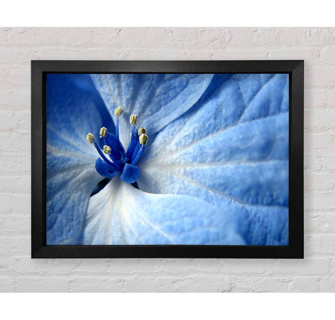 Soft Blue Flower - Druck