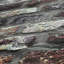 Bricks and More Collection Brickshire Residents Wallpaper Roll-618766108