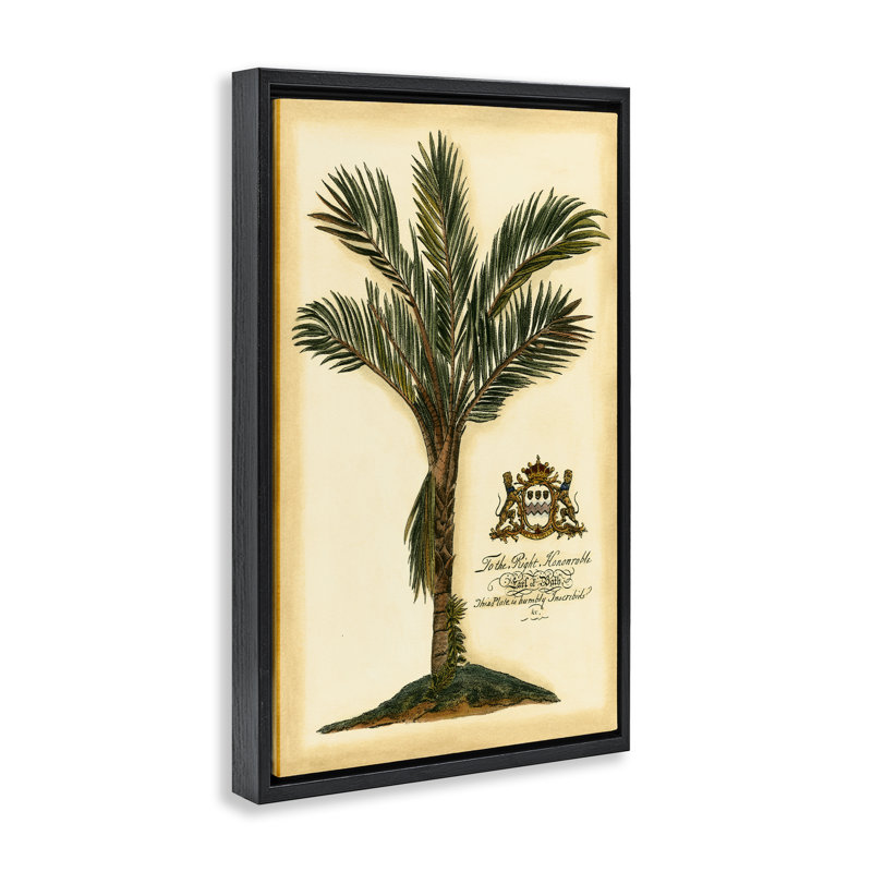 Cadre flottant vintage avec motif de palmiers, design par Vision Studio, H 31 po x l 21 po, Cadre flottant noir de jais
