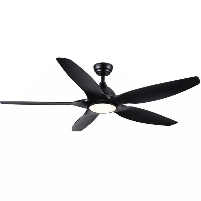 Kiry 60'' Ceiling Fan with LED Lights, Black