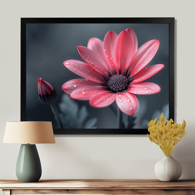 Rose, gris, souci, photo, souci, art mural, salon