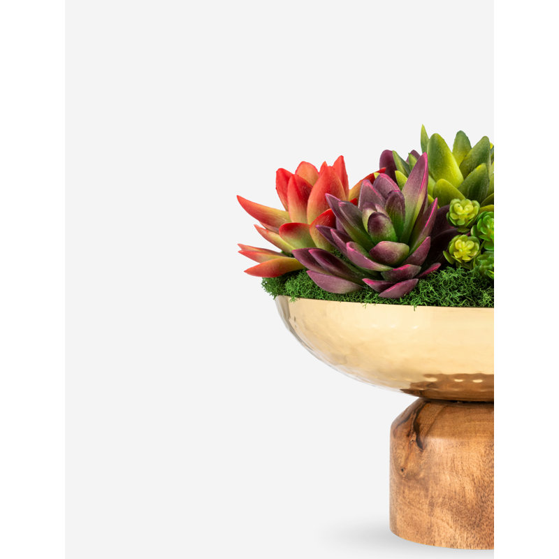 Petra Succulent Wooden Pedestal Arrangement
