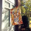 Chat en feuilles d'automne-112700489