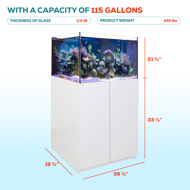  Système d'aquarium sans cadre 115 gallons en verre - réservoir marin ultra transparent avec armoire en aluminium, puisard et plomberie intégrés, blanc