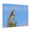 No Frame Print on Canvas-1234137321