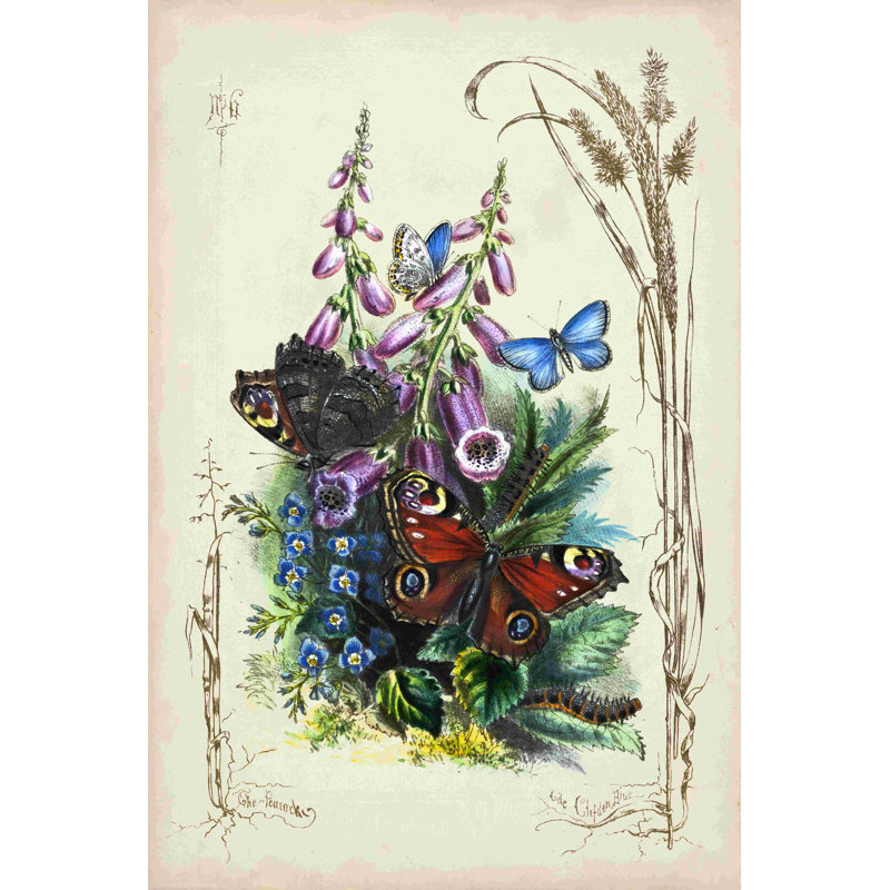 Victorian Butterfly Garden VI, H 12 po x l 8 po