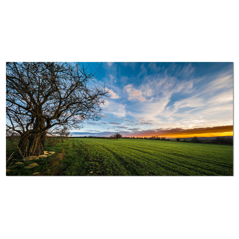 Green Pasture sous Blue Sky - reproduction de photo sur toile tendue, H 16 po x l 32 po