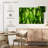 Harnek Backlit Green Leaves-107720137