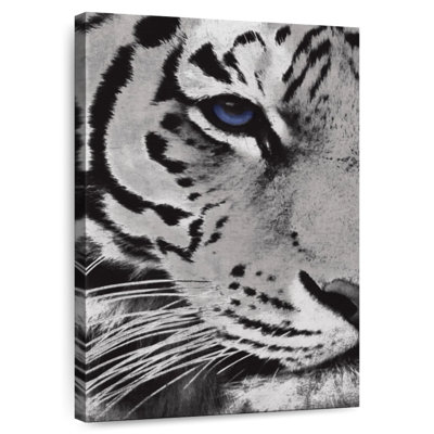 Tiger Purple Eye I