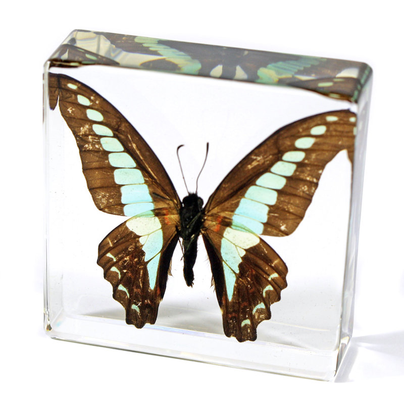 Ragusa Animals Figurines & Sculptures