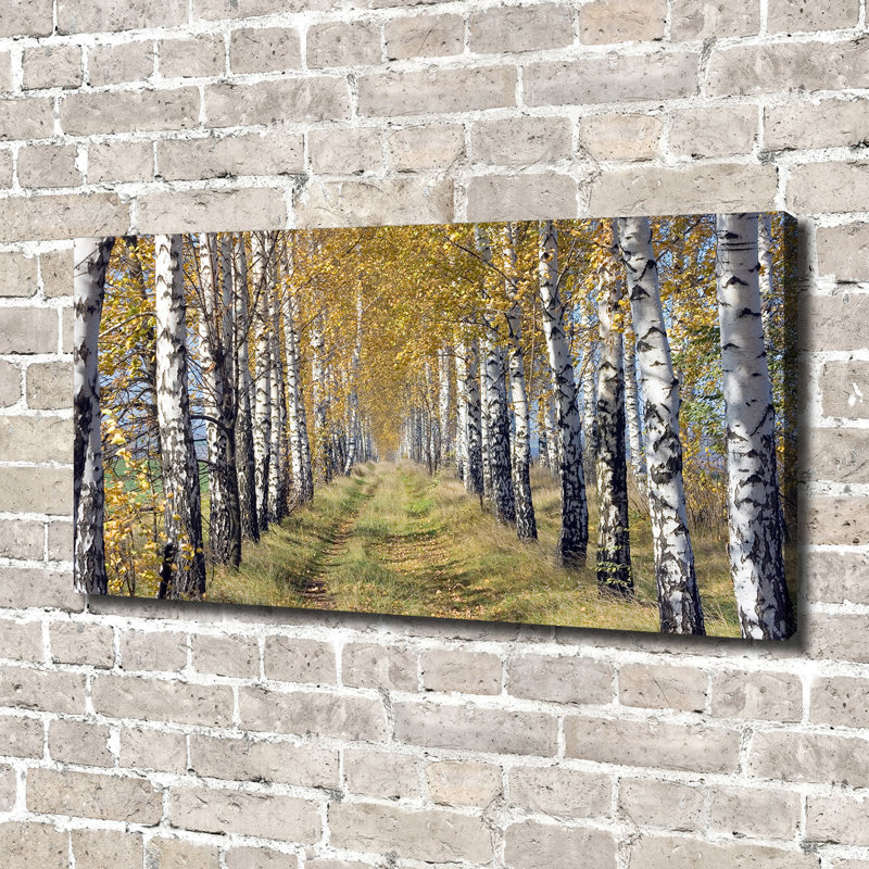 Birches In Autumn - Wrapped Canvas Print, 70cm H x 140cm W x 2cm D, Canvas