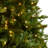 Lighted Christmas Tree-2012693070