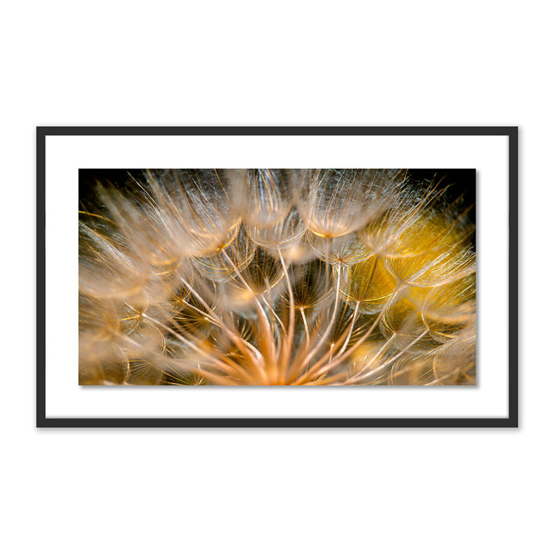 Float Away Print by Geoffrey Baris, 25" H x 40" W x 2.5" D, Black