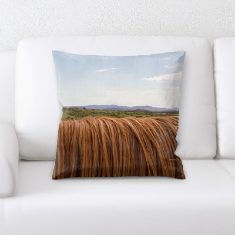 Laird Throw Pillow