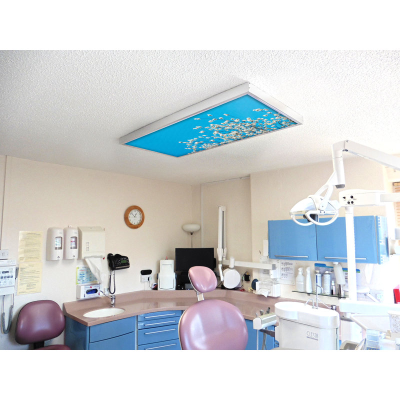 Couvre-lampes fluorescents Tree Classroom pour plafonniers - pour luminaire 2 x 4 - par Octo Lights