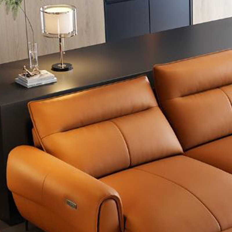 Élégant canapé électrique Premium Feeling, H 37,79 po x l 78,74 po x P 38,97 po, 2