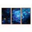 «Morning Magic Cosmic Flower - Botanicals», ensemble d'art mural-309399961-309399967