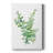 Eucalyptus III -Custom Wrapped Gallery Cavas