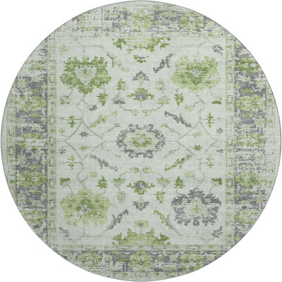 Premium Machine Washable Pirtle Border Rug