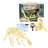 Paleo Hunter Dig Kit for STEAM Education