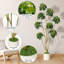 Arbre artificiel artificiel Schefflera en pot blanc avec motif de troncs multiples