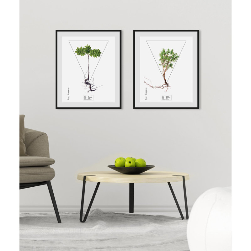 Plant - Single Picture Frame Print