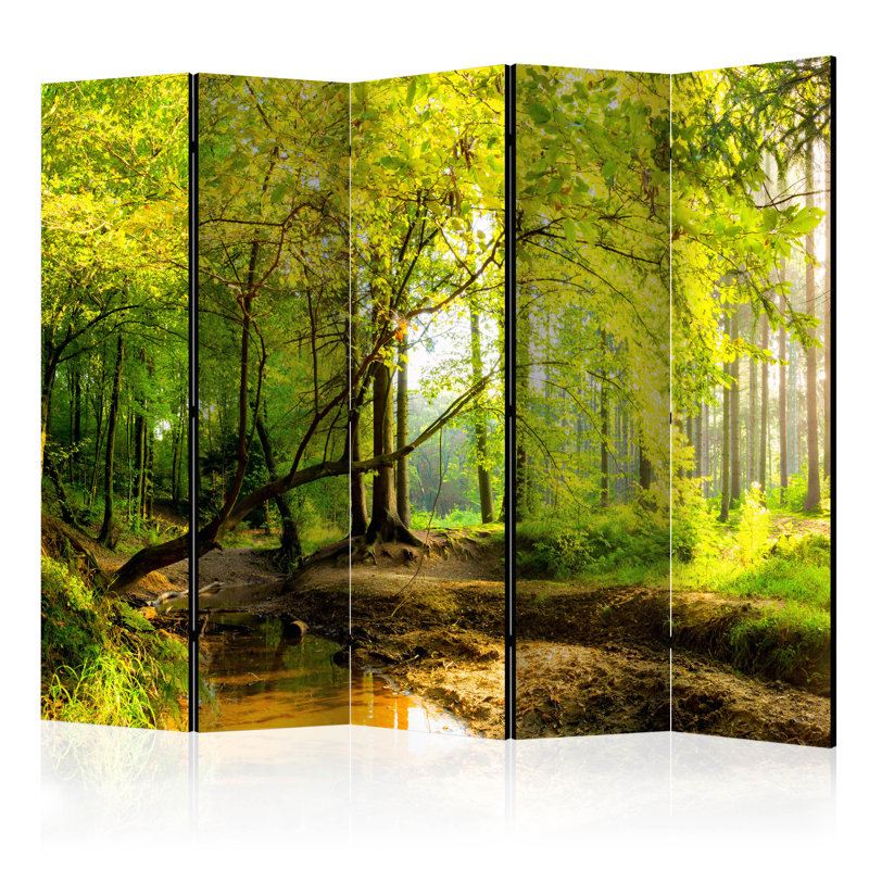 225cm W x 172cm H 5 - Panel Wood Folding Room Divider