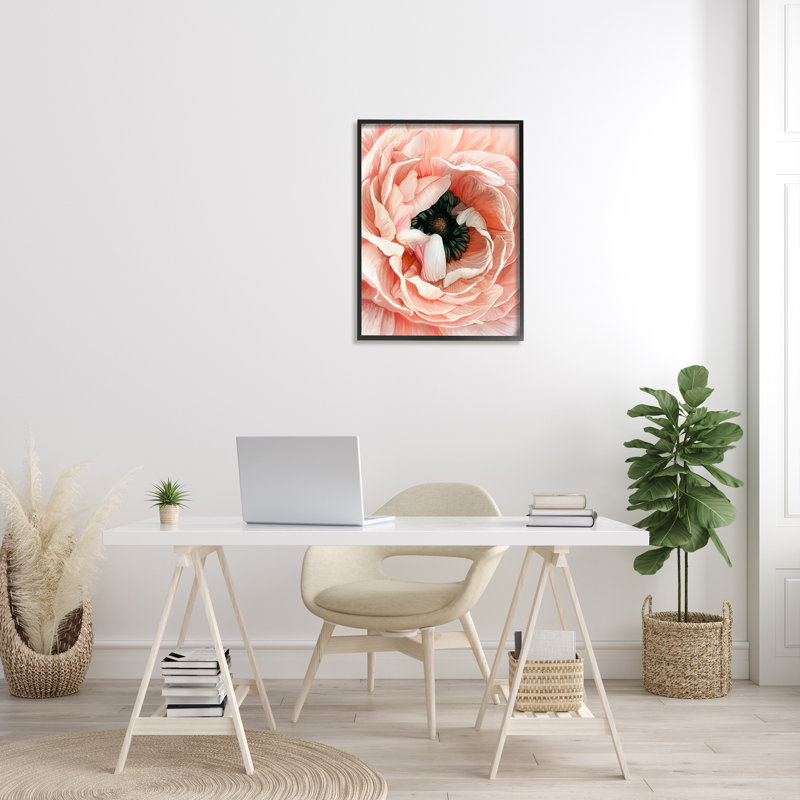 Gros plan sur une pivoine rose, H 30 po x l 24 po x P 1,5 po, Giclée encadrée noir minuit