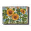 Tournesols d'été - patiné «By» Tournesols d'été - patiné »par Paul Brent-1276570441