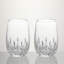 Crystal Wine Glass