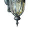 Lanterne murale d'extérieur 1 lumière Erickson-25751221