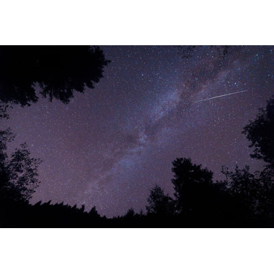 " Starry Night With Shooting Star "