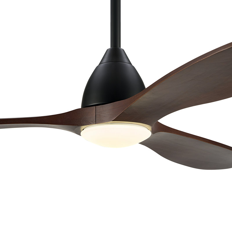 Ventilateur de plafond à 3 pales avec lumière DEL à intensité variable et télécommande, Noir mat avec pales en noyer