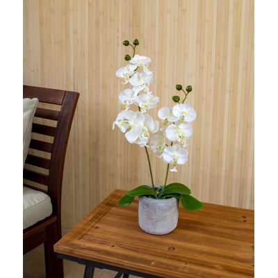 47.5 cm H Artificial Orchid in Ceramic Pot